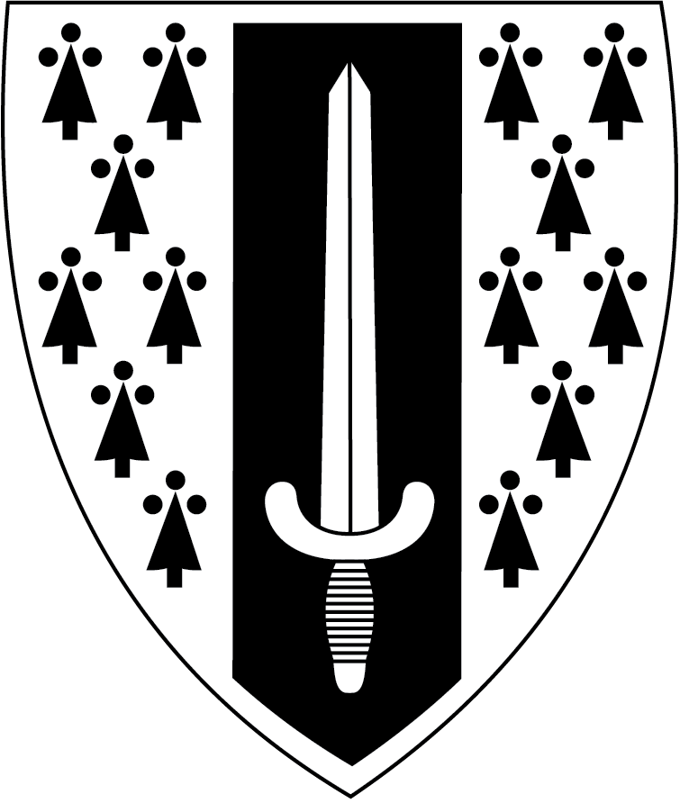 shield icon black